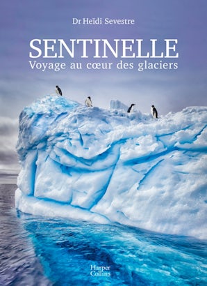Sentinelle, voyage au coeur des glaciers