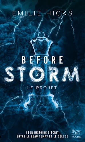 Before Storm #2 :  Le projet
